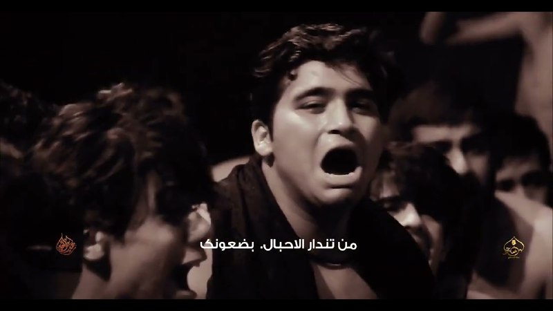 استوريات سجاد المحمداوي