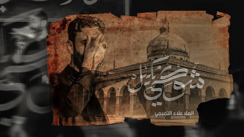 علاء التميمي | alaa al temimi