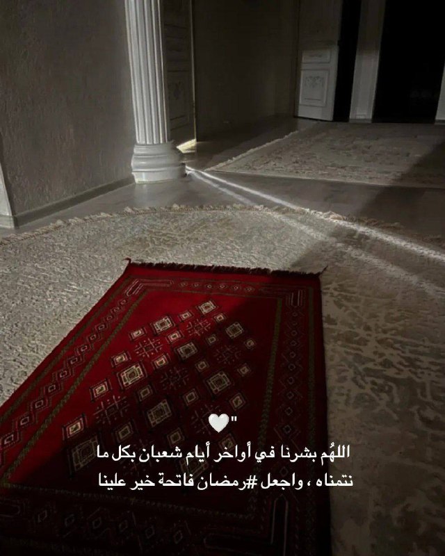 **عرفت اني نضجت لما صارت كل …