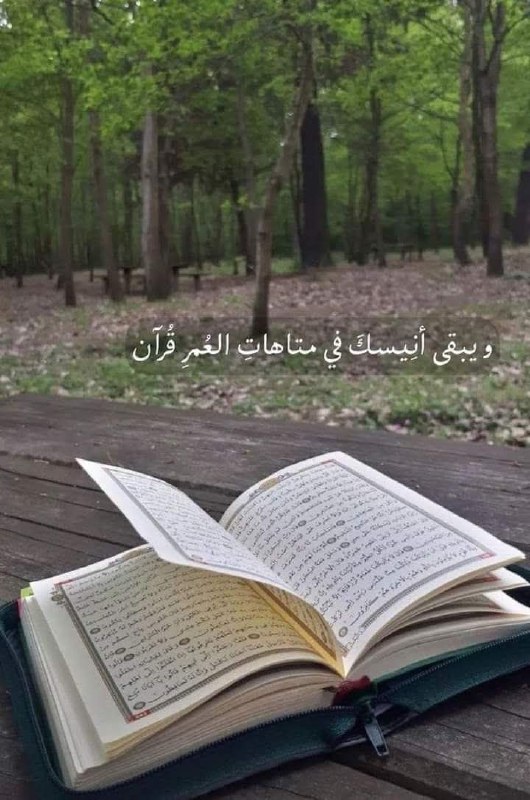 -***📖***