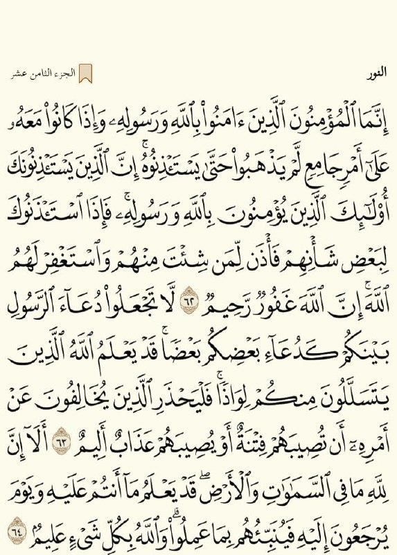 [#حتى\_لا\_يهجر](?q=%23%D8%AD%D8%AA%D9%89_%D9%84%D8%A7_%D9%8A%D9%87%D8%AC%D8%B1) ***♥***