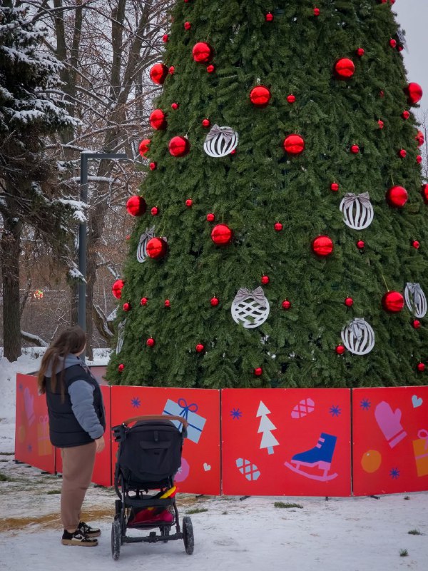 Малаховка в объективе📸