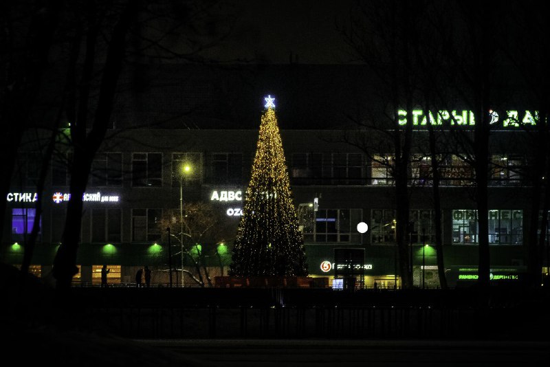 Малаховка в объективе📸