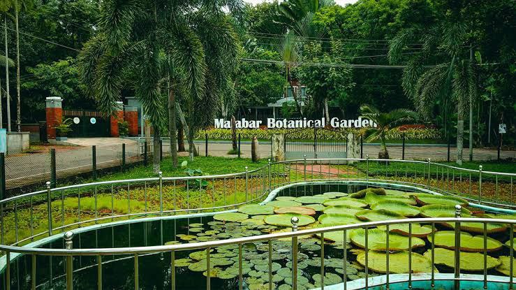 [​​](https://telegra.ph/file/1f6b1d7c09a49db184588.jpg)**Malabar Botanical Garden**