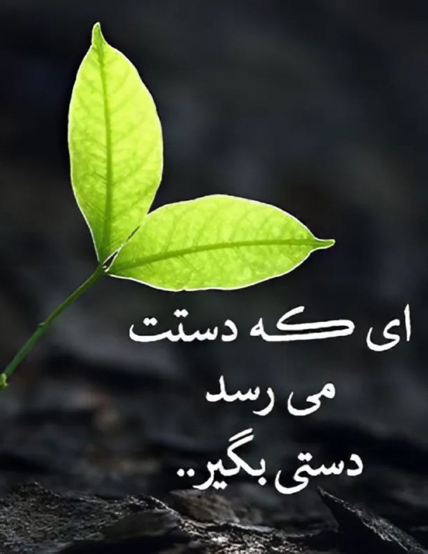 امروزه بیشتر مردم ساکن آپارتمان اند، …