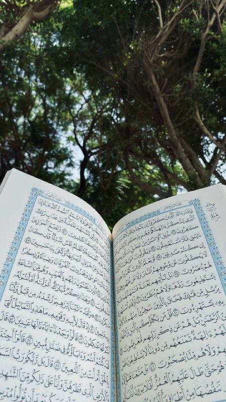رَبيــعُ القلوب☁️.