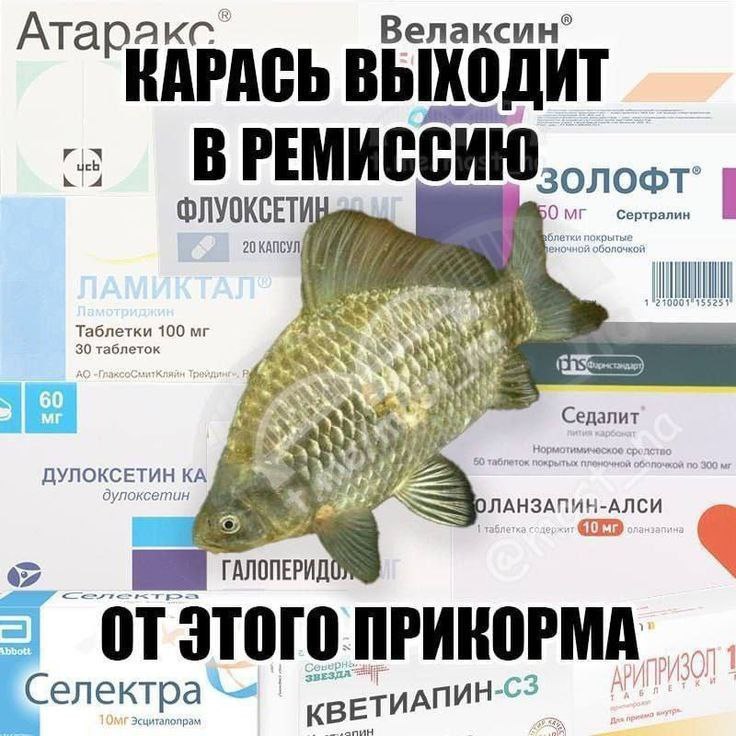 EB@TELИ RToV