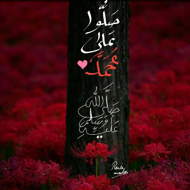 إِبْنَة عِمْرَانْ♡