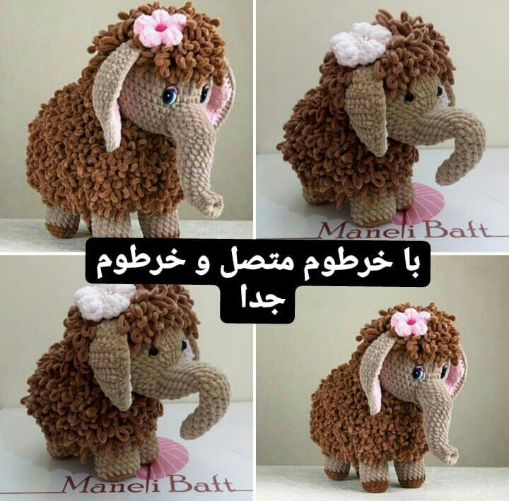 دوره فیل مخملی زیبا