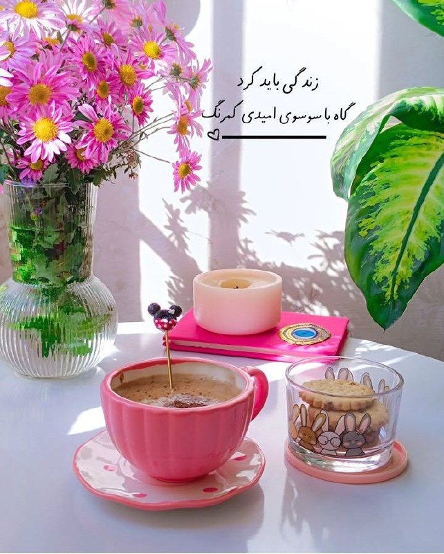 زندگی باید کرد
