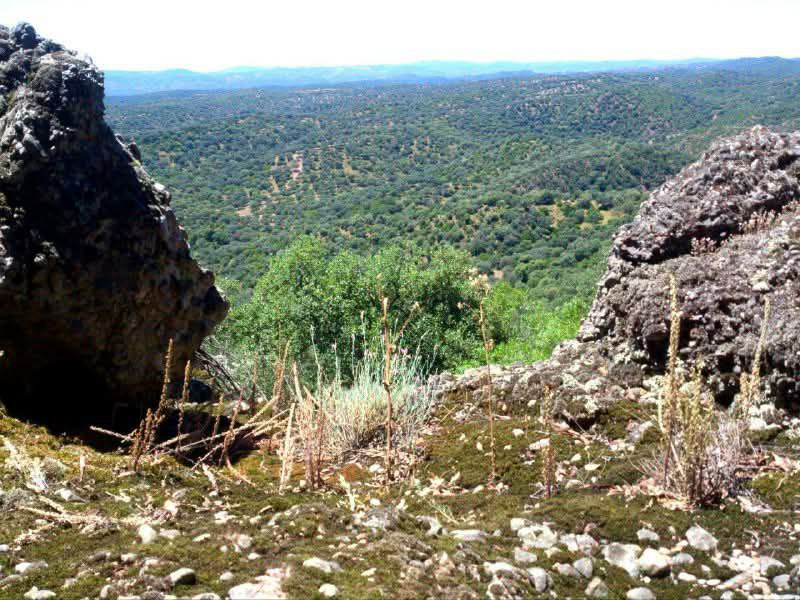 SIERRA MORENA; SIERRA MÁGICA