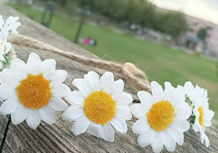 َ