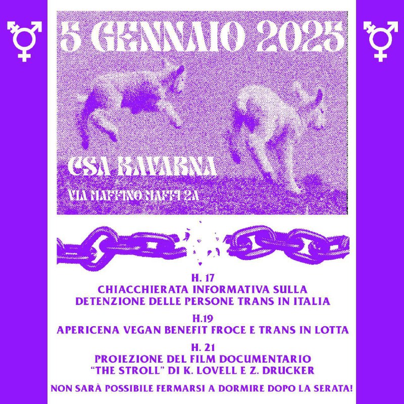 5 gennaio 2025