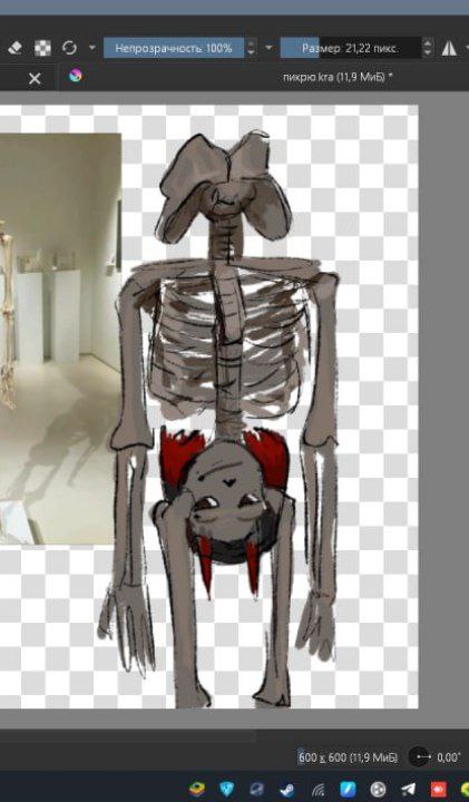 марфиса это who | арест