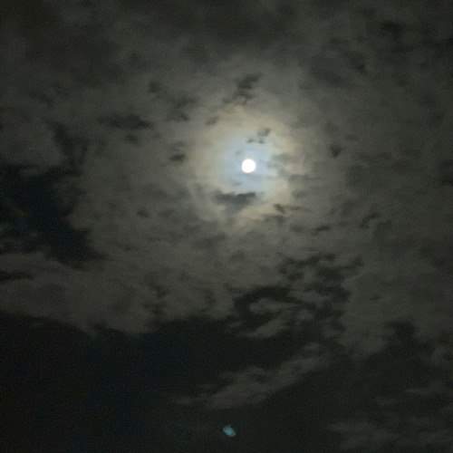 كل زين اشاهده و انتم بعيد …