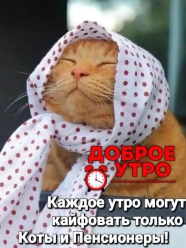 ***☀️***Доброе утро!