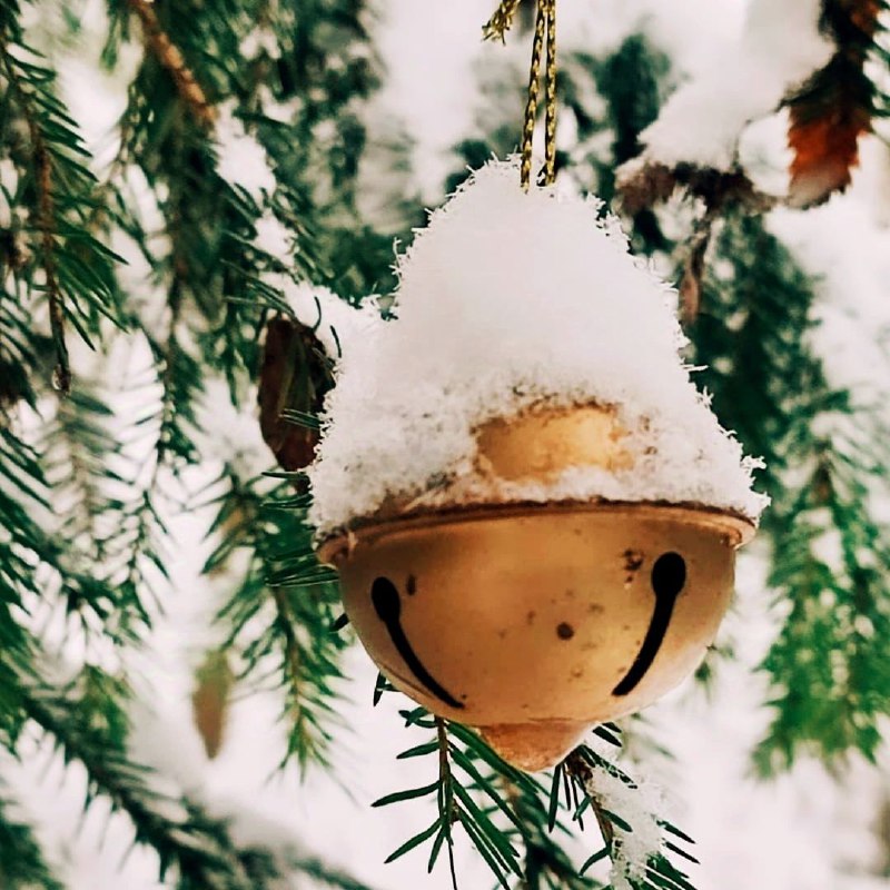 🤰🏻ПСИХОЛОГИЯ ЖЕНСКОГО ЗДОРОВЬЯ