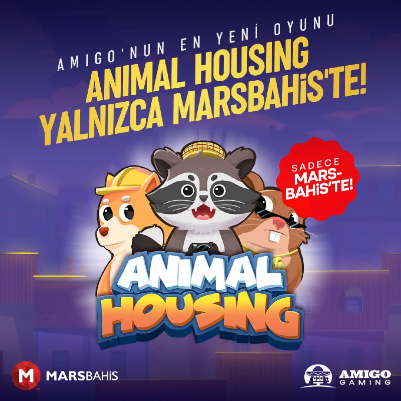 [#Amigo](?q=%23Amigo)'nun YEPYENİ oyunu Animal Housing şimdi …