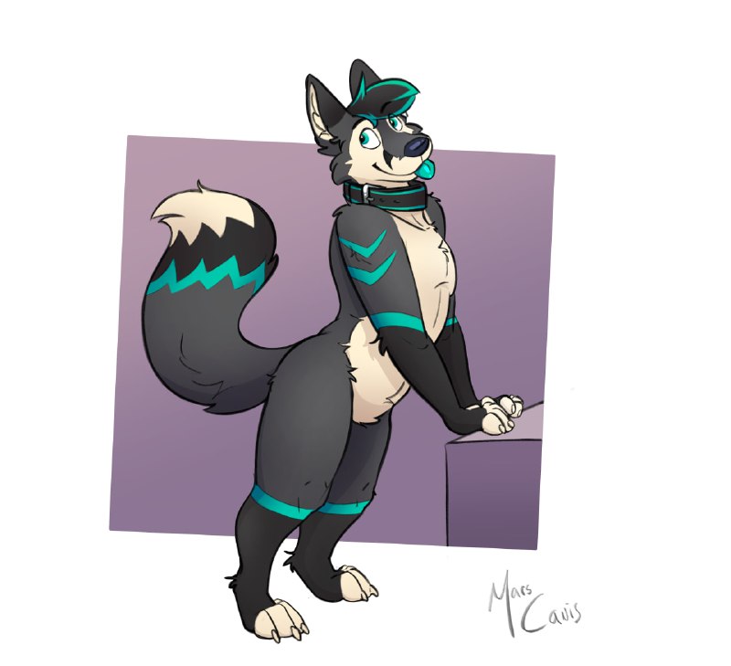 Commission for Ekto !