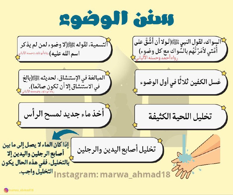 أقـحوانَة🌼🤍
