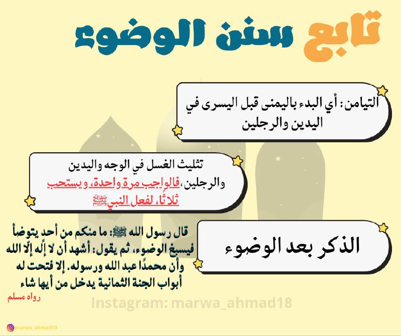 أقـحوانَة🌼🤍