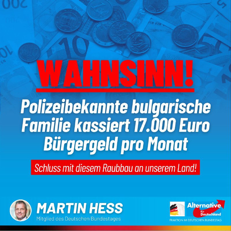 Martin Hess MdB