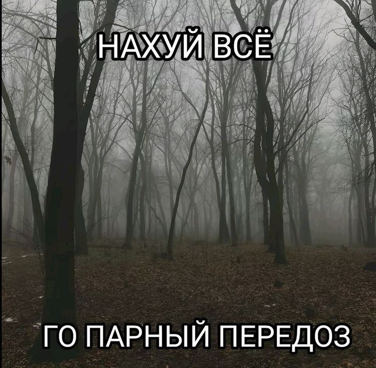 -ˋ °.·инструкц1я п0 вым1ранию ⋆｡°