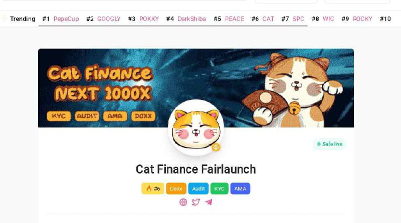 *****🎊*** Fa**ir Launch of $CAT **on …