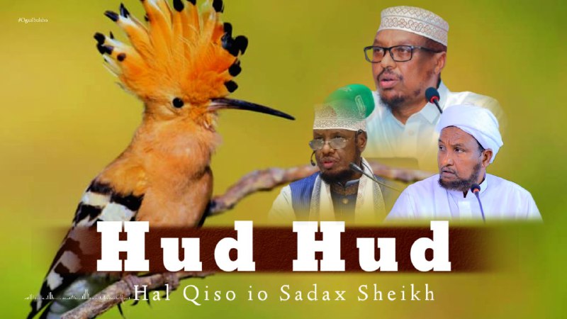 Qisadii Hud Hud-ka Sadaxda Sheikh Ee …