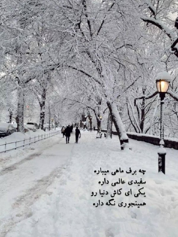 چه برف ماهی میباره...