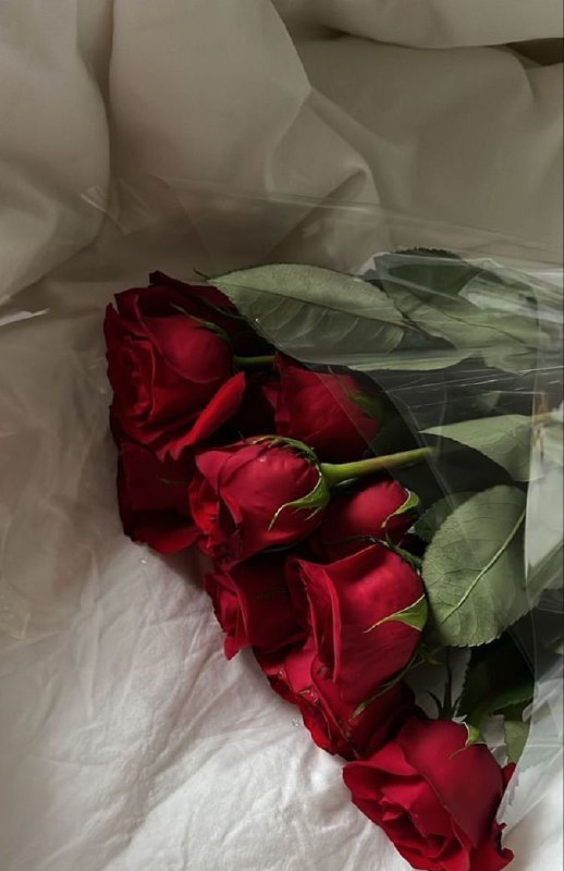 من أرادنا…