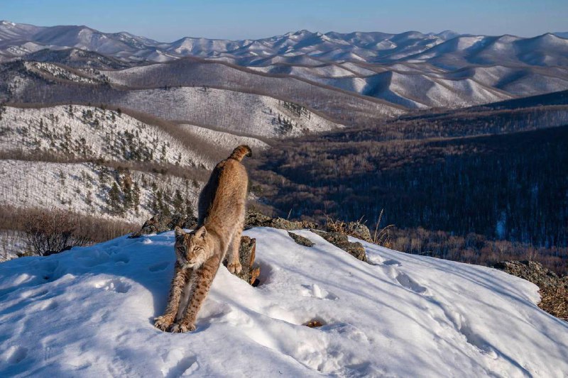 Российский фотограф Игорь Метельский победил в …