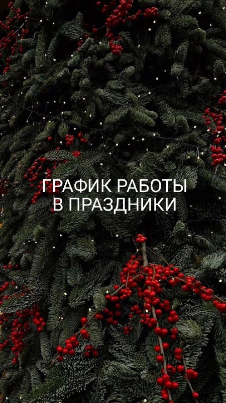 График работы в праздничные дни ***🌲***