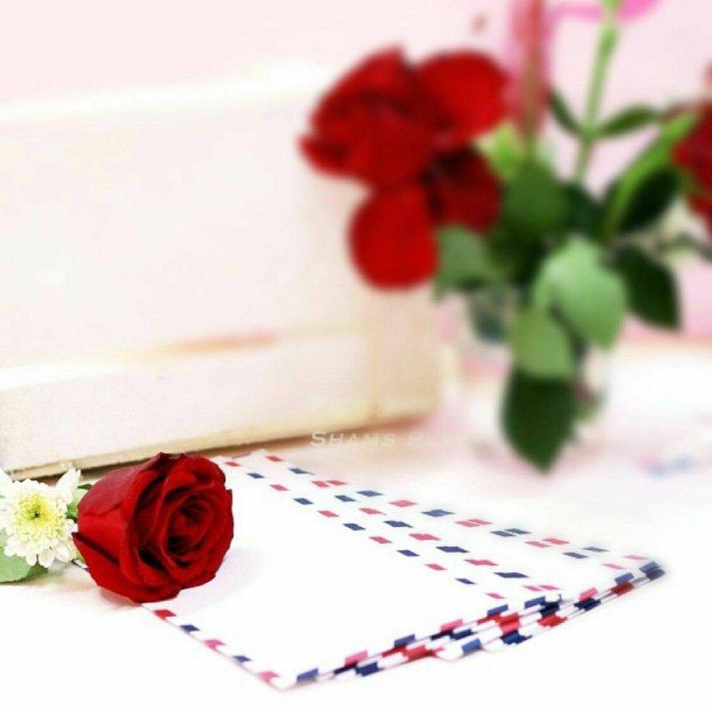 ‏لا تألف\_الرّوحُ إلا من يُلاطِفُها