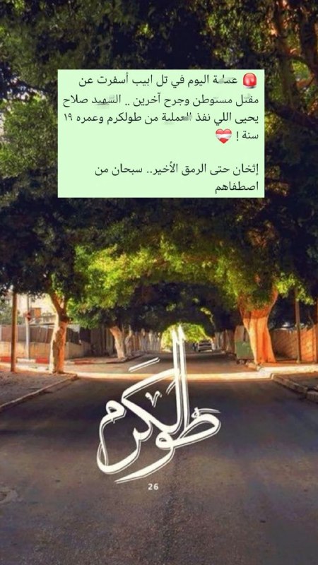 حملة مسرى