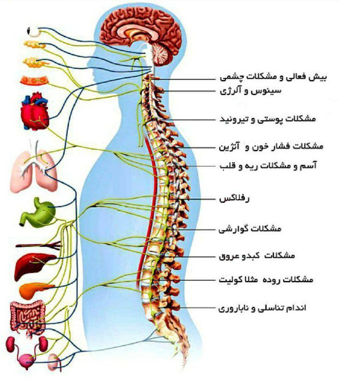 ماساژ هر مهره از کمر،یک بیماری …
