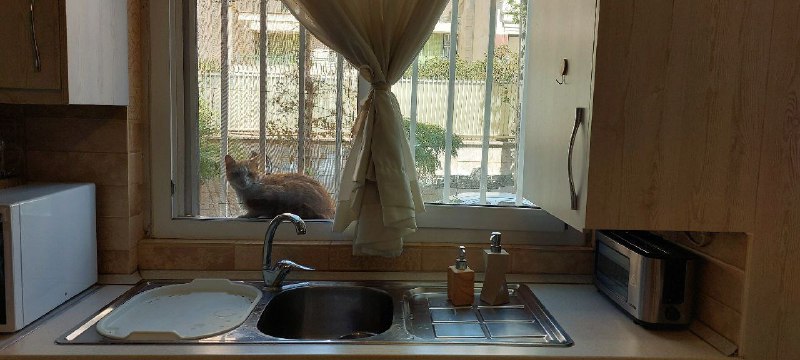 [‍](http://axnegar.fahares.com/axnegar/278d97530bbc1b447181b.jpg) [#روزمرگی\_های\_من](?q=%23%D8%B1%D9%88%D8%B2%D9%85%D8%B1%DA%AF%DB%8C_%D9%87%D8%A7%DB%8C_%D9%85%D9%86)