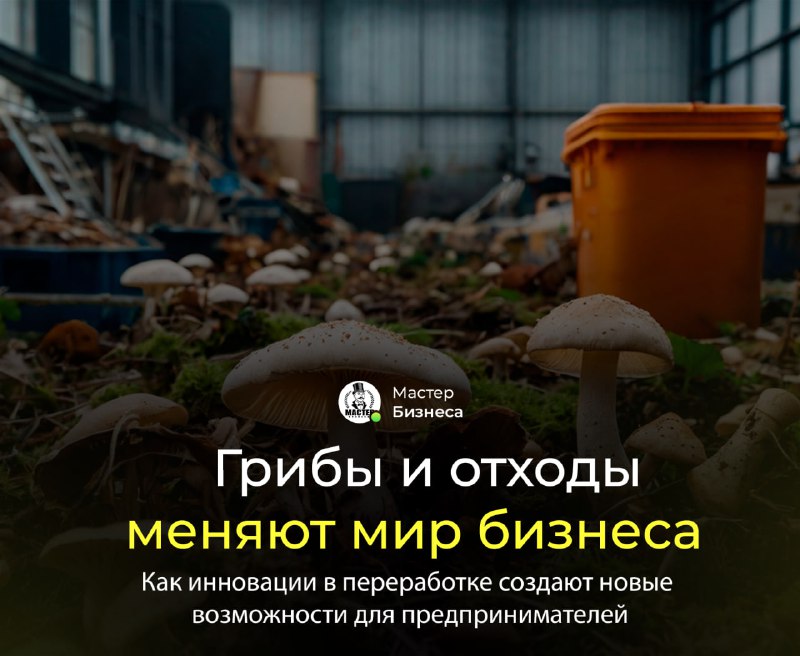 [***🍄******♻️***](https://t.me/master_businessa) **Грибы и отходы меняют мир …