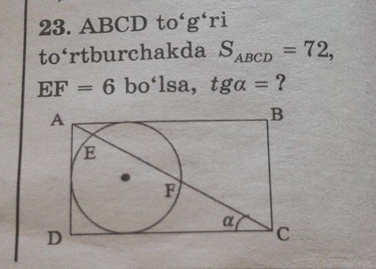 Shoxsanam - MATH teacher