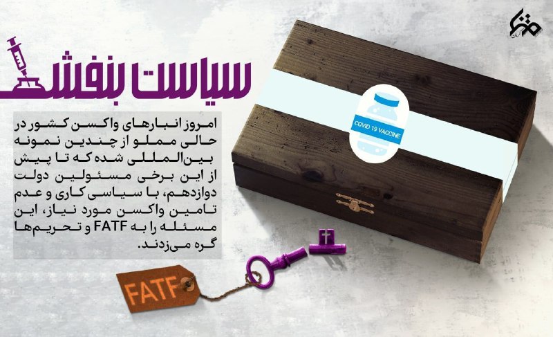 سیاست بنفش: