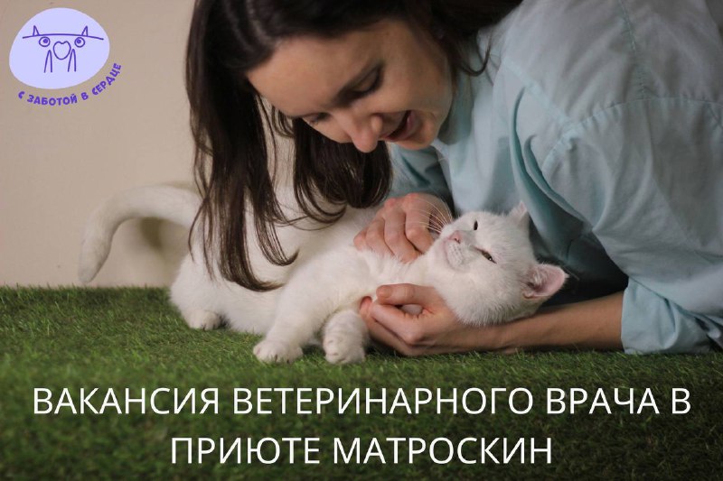 Вакансия ветеринарного врача в приюте Матроскин! …