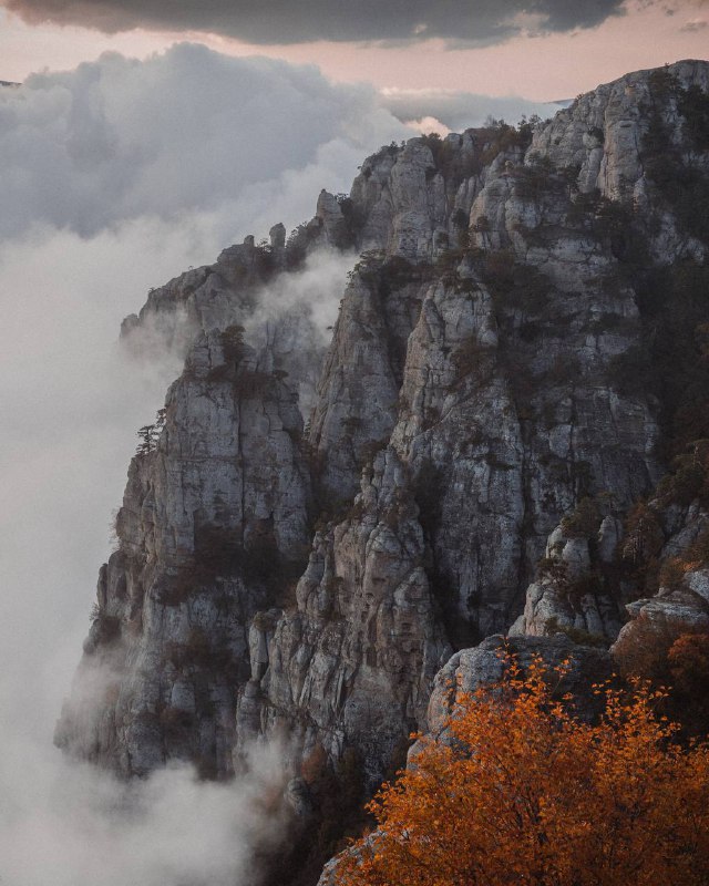 📸 Max From Crimea