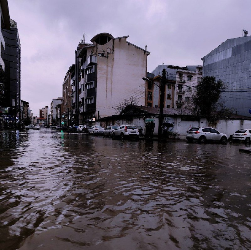 シャドウランド,)