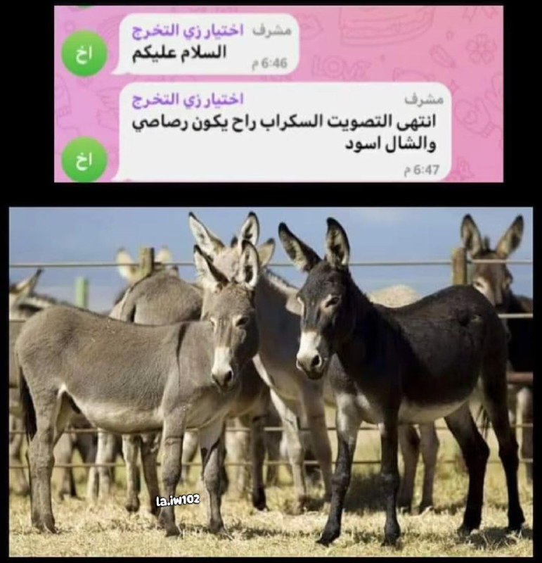 الحقنة رايحة فين 💉