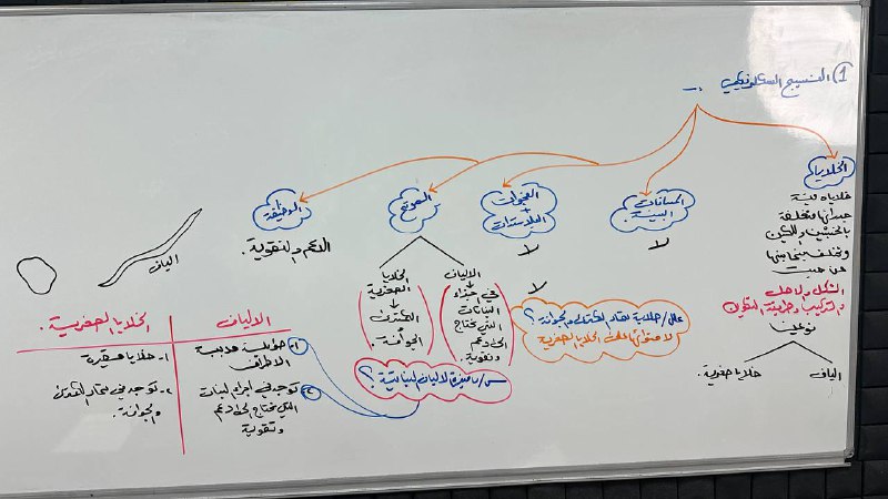 صور سبورة الاحياء | الاستاذ مصطفى …