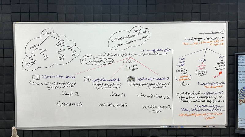 العظم والغضروف