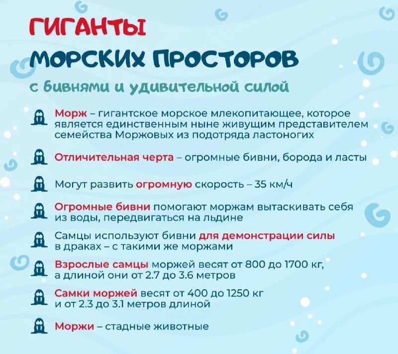 Школа «СОШ №23» г. Владивостока