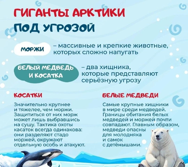 Школа «СОШ №23» г. Владивостока