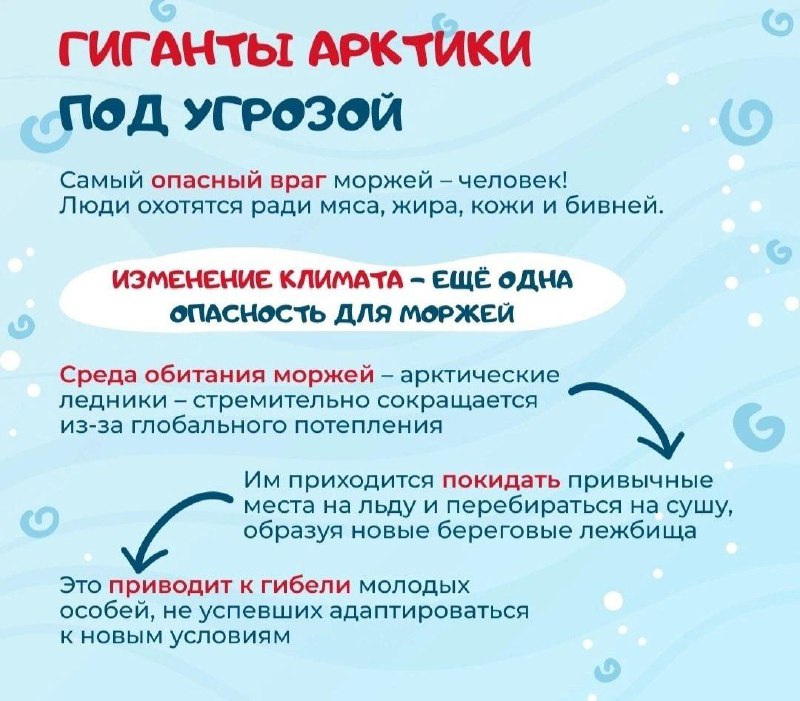 Школа «СОШ №23» г. Владивостока
