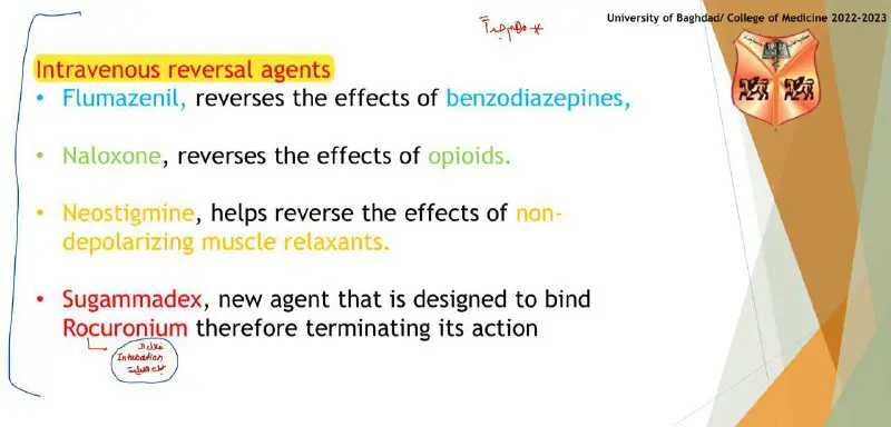 -Benzodiazepine Antagonist &gt;&gt;&gt;&gt;&gt; Flumazenil (GABA-receptor antagonist)